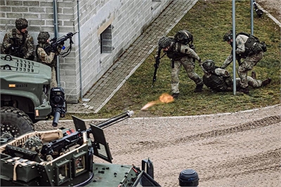 Siła sojuszniczego działania