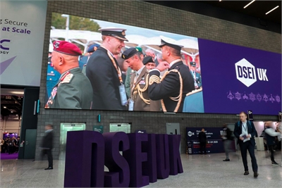 Polska na DSEI