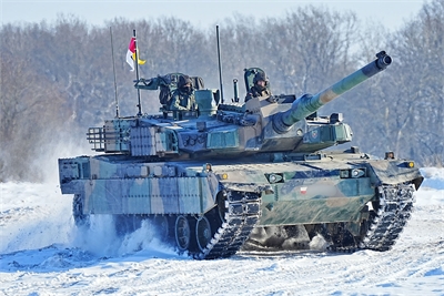 Czarne Pantery na śniegu