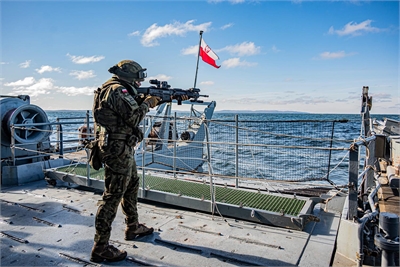 Rosomaki na lądzie i morzu