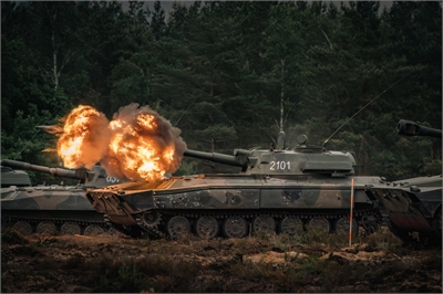 Strzeleckie pożegnanie z Goździkami